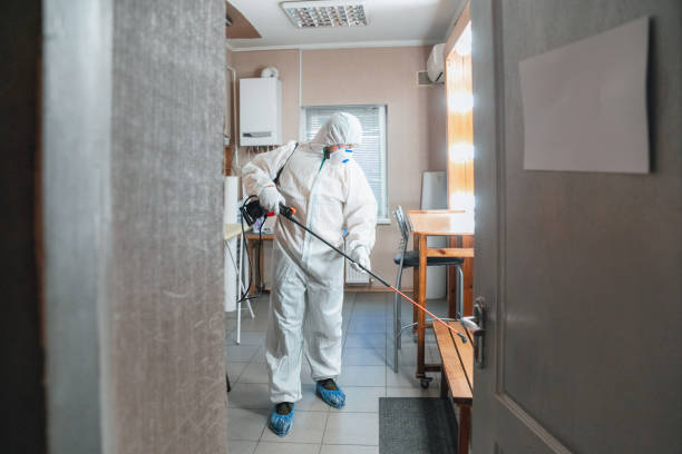 Professional Mold Removal in Black Diamond, WA